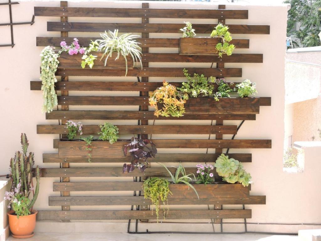 סברס גינון סברס גינון