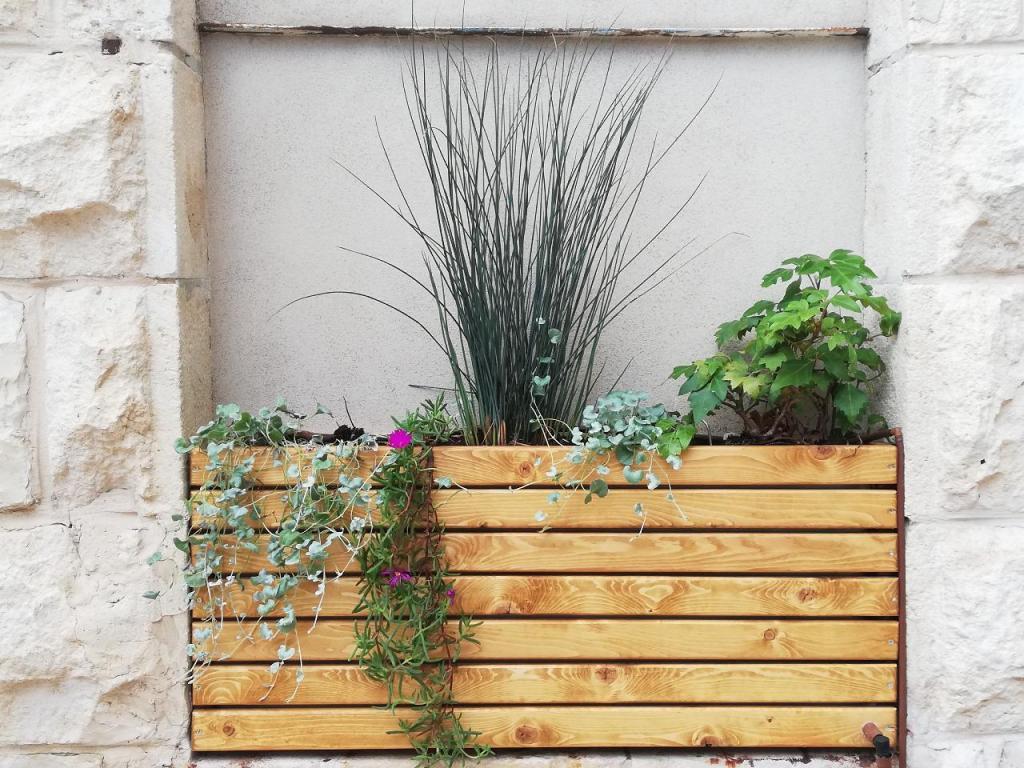 סברס גינון סברס גינון