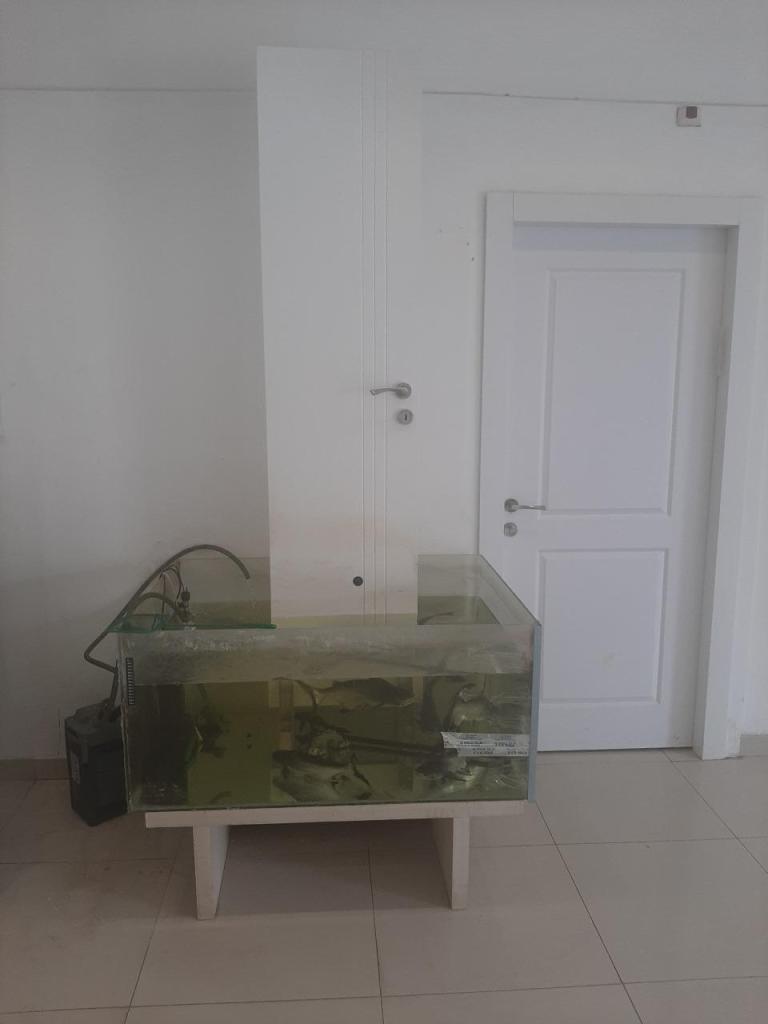 דלתות המלך דלתות המלך