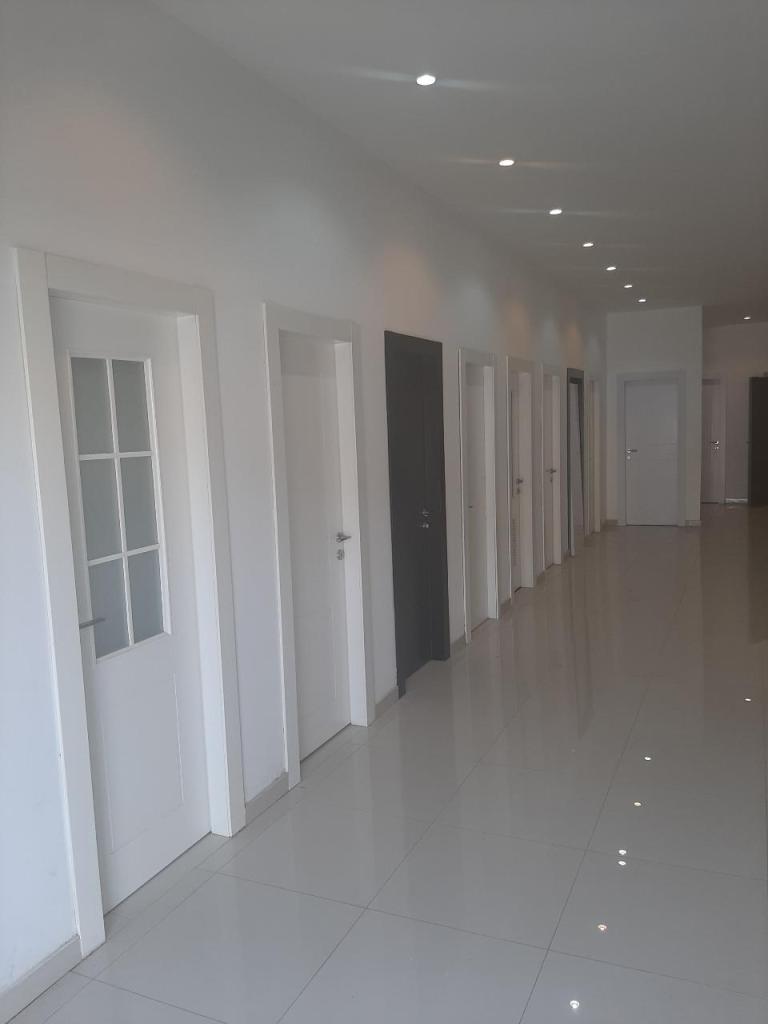 דלתות המלך דלתות המלך