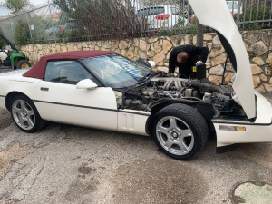לסלו וערן פיק  מנוהל