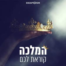 הויקינגים
