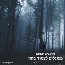 הויקינגים