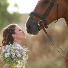 pic a horse סדנאות