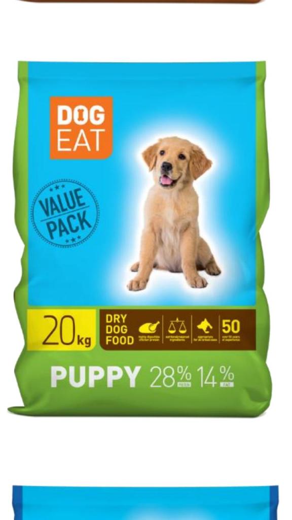 שלומי הכל לכלב שלומי הכל לכלב