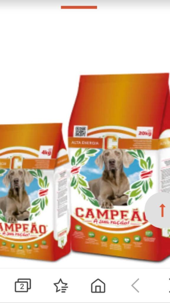 שלומי הכל לכלב שלומי הכל לכלב