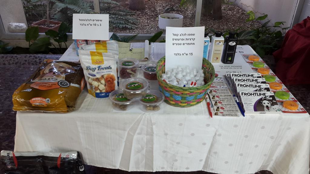 שלומי הכל לכלב שלומי הכל לכלב