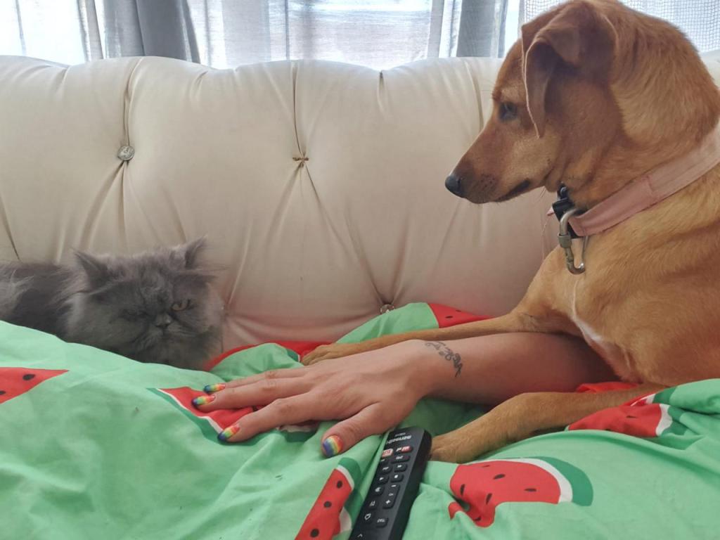 הפנסיון של קארין הפנסיון של קארין