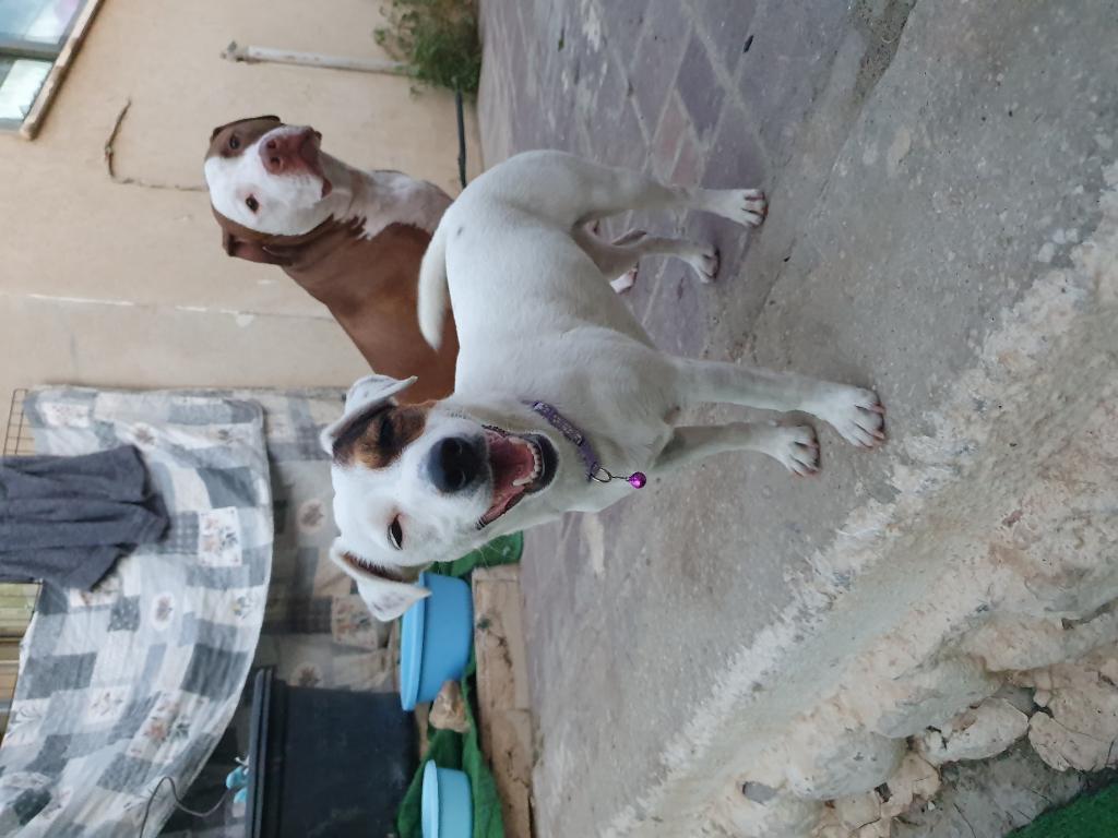 הפנסיון של קארין הפנסיון של קארין