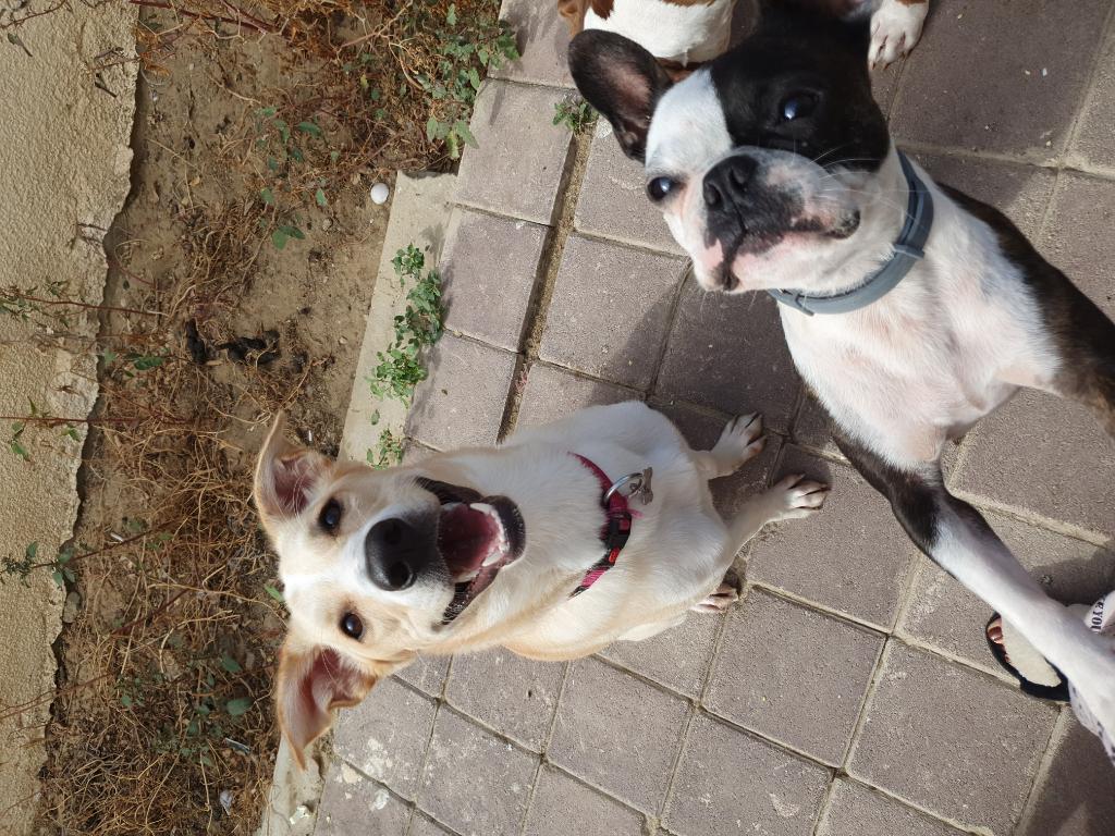 הפנסיון של קארין הפנסיון של קארין