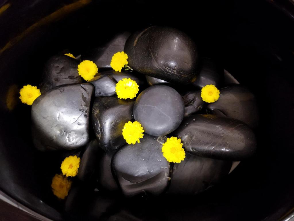 שרון רפואה סינית שרון רפואה סינית