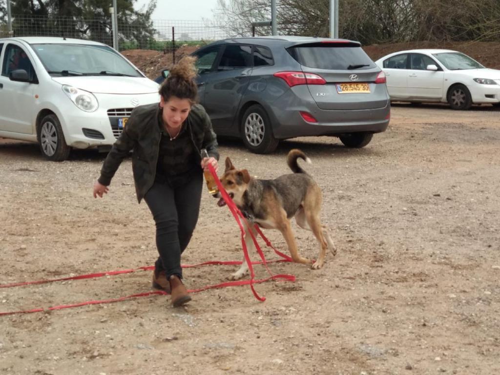 שרון וינשטין שרון וינשטין