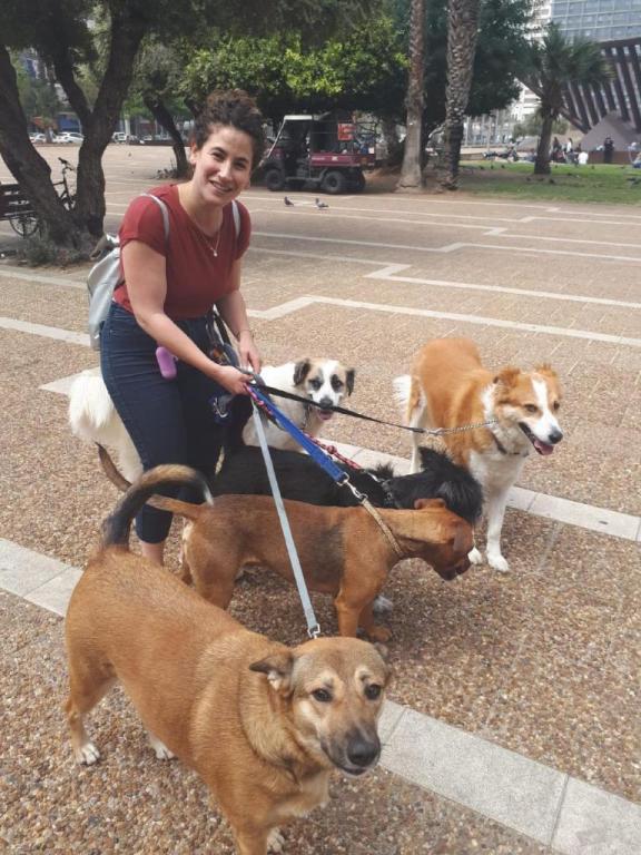 שרון וינשטין שרון וינשטין