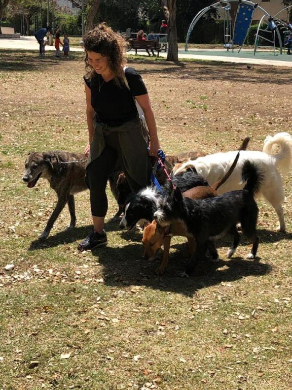 שרון וינשטין שרון וינשטין