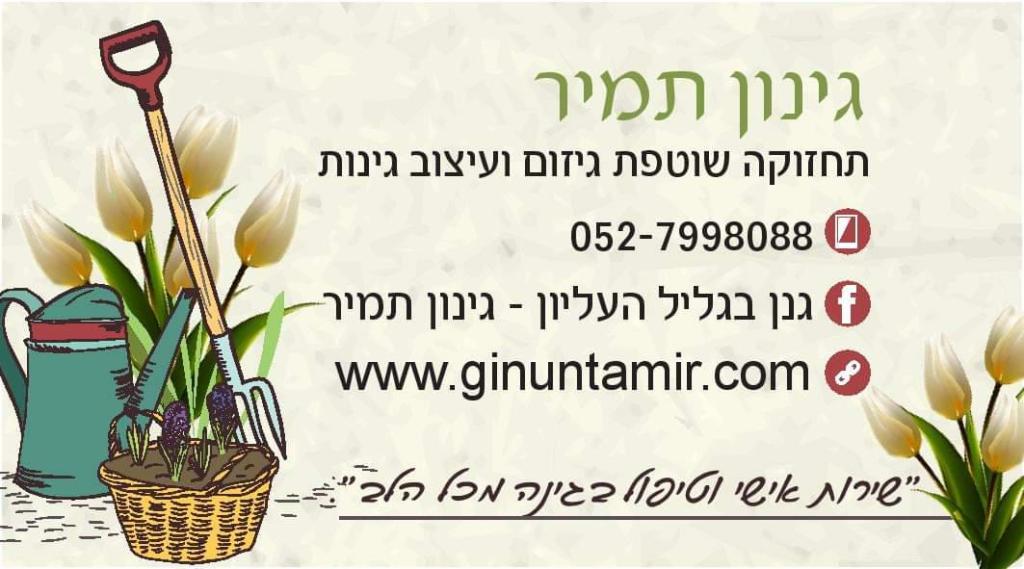 גינון תמיר גינון תמיר