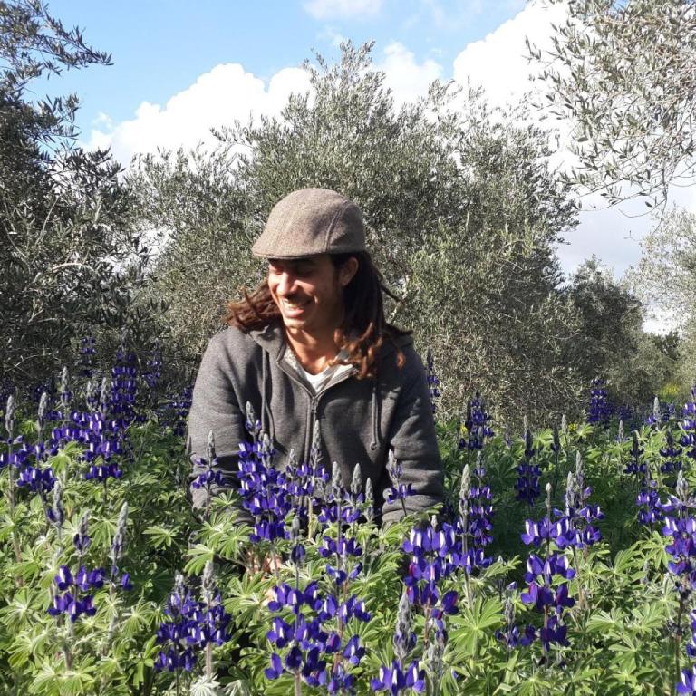 גינון תמיר גינון תמיר