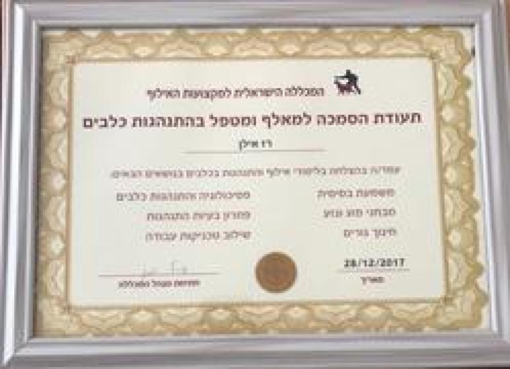 רז אילן בית הכלב המבסוט רז אילן בית הכלב המבסוט