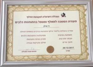 רז אילן בית הכלב המבסוט