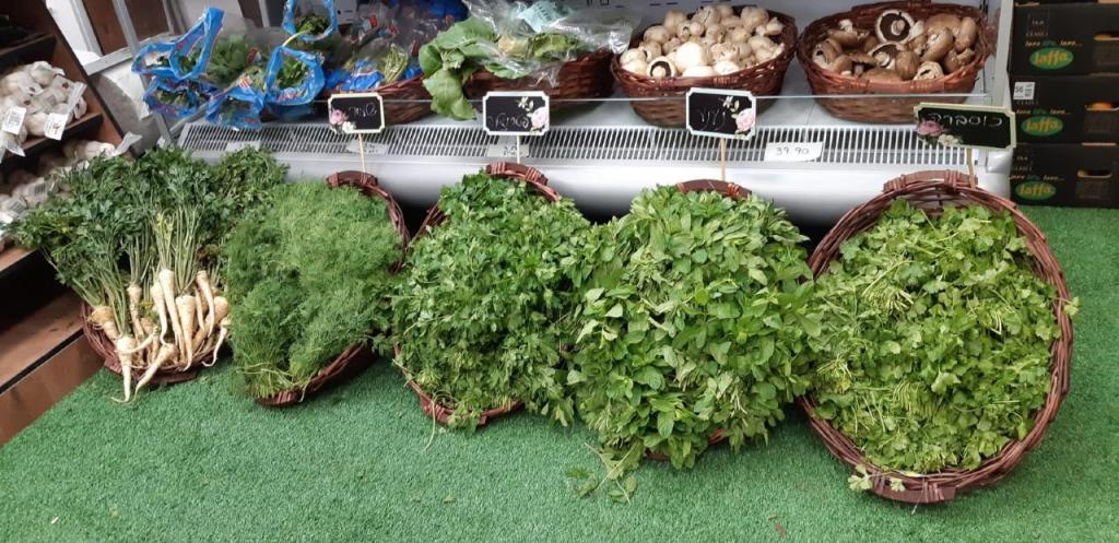 משק המושבה משק המושבה