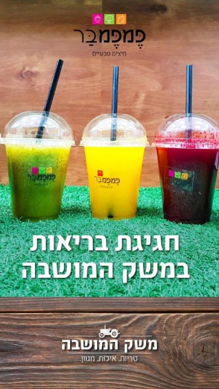 משק המושבה משק המושבה