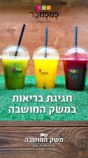 משק המושבה