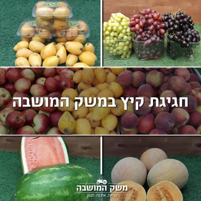 משק המושבה משק המושבה