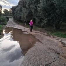 איתנים מועדון ריצה