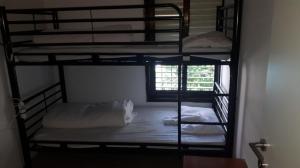 Gold sea hostel