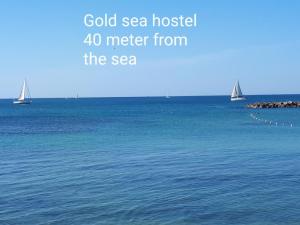 Gold sea hostel