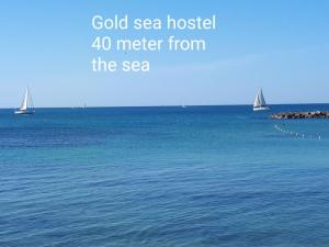 Gold sea hostel