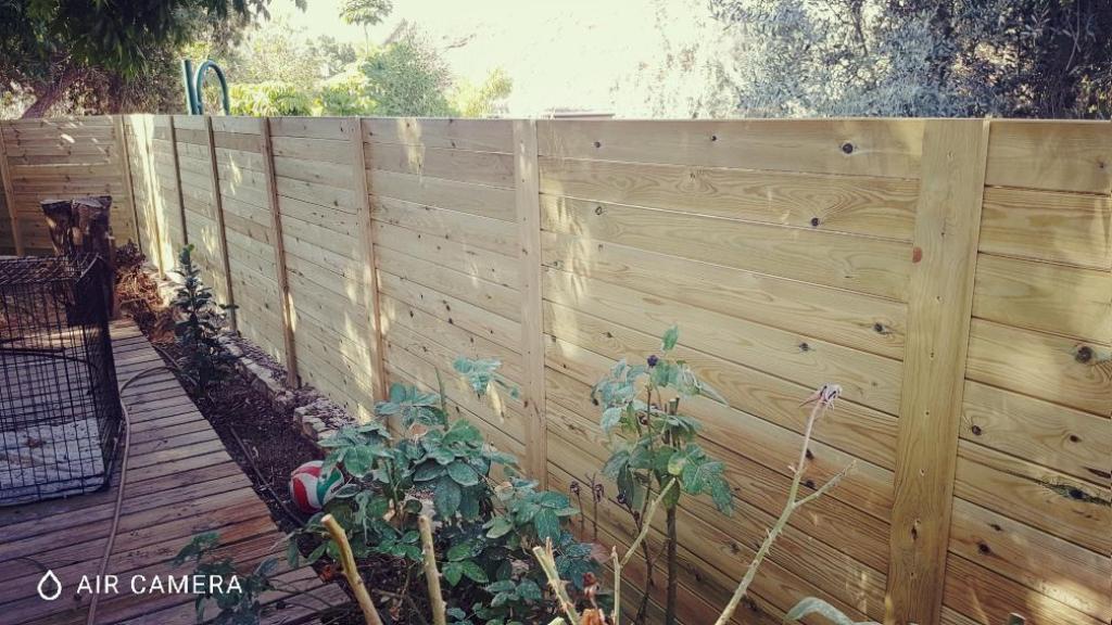 לבלוב אחר לבלוב אחר