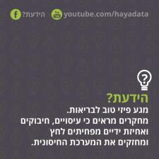 מגע מרפא יוכי עקיבא