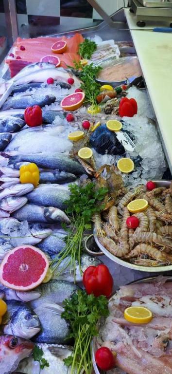 דגי זיינב דגי זיינב