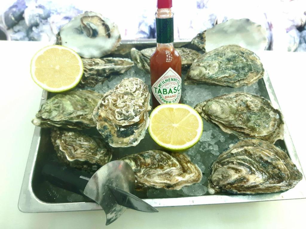 דגי זיינב דגי זיינב