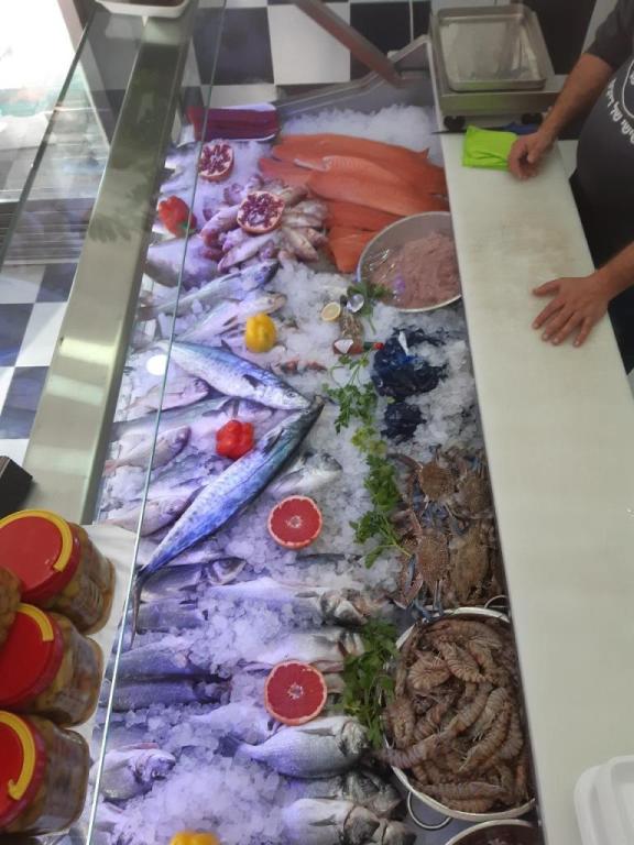 דגי זיינב דגי זיינב