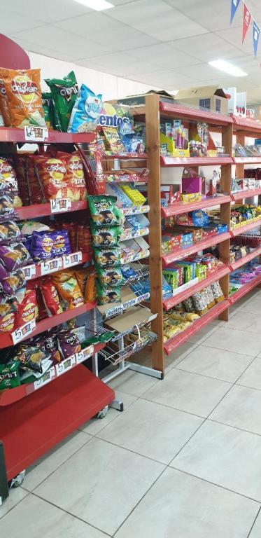 כלבו אילון כלבו אילון