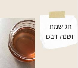 דנה לוי עוגן