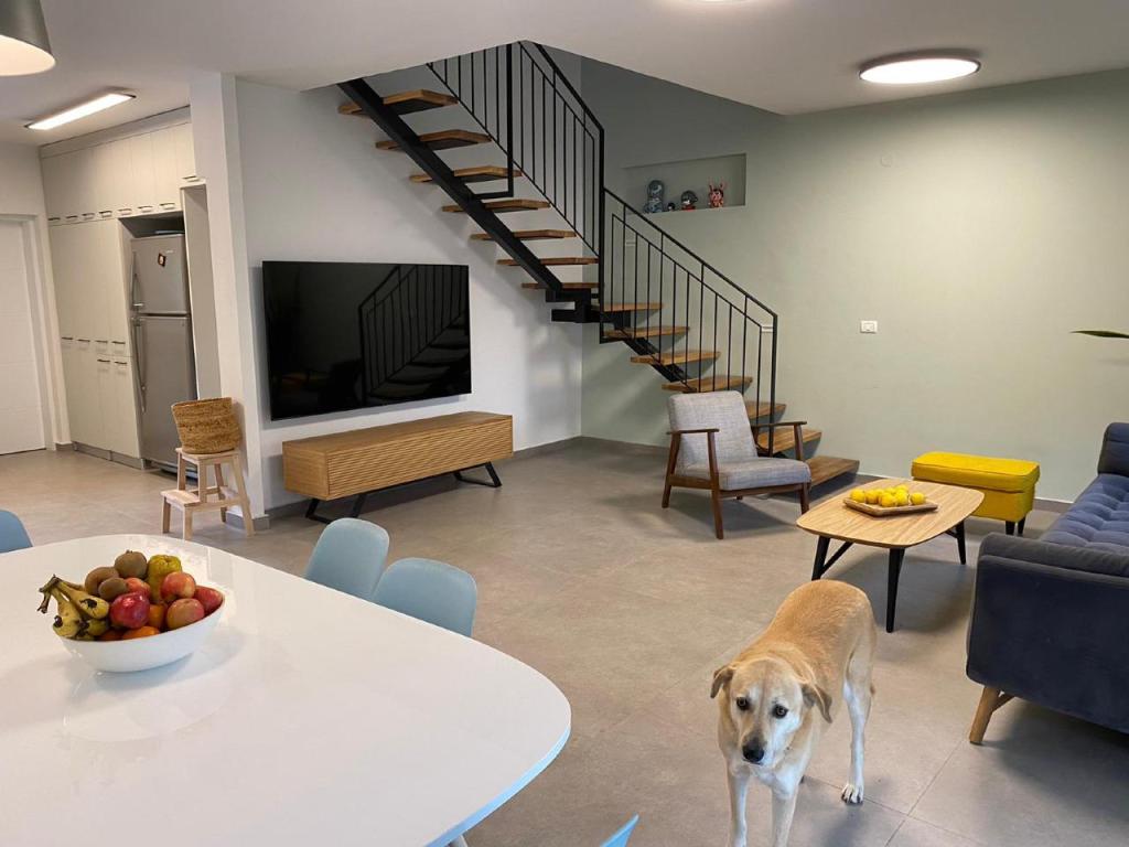 אדריכלית ענבל כהן אדריכלית ענבל כהן