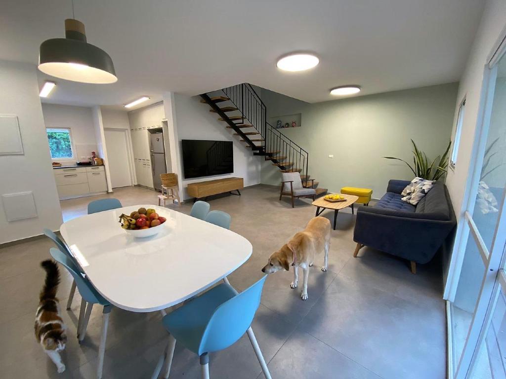 אדריכלית ענבל כהן אדריכלית ענבל כהן