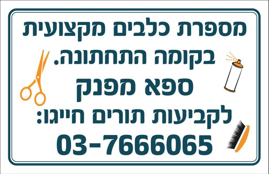 פט וילג' חנות חיות פט וילג' חנות חיות