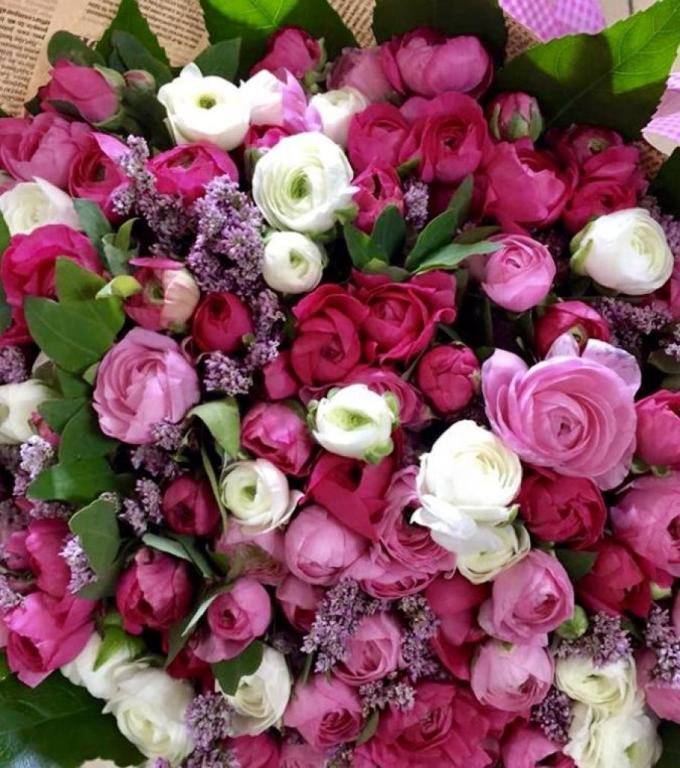 משק 25 פרחים משק 25 פרחים