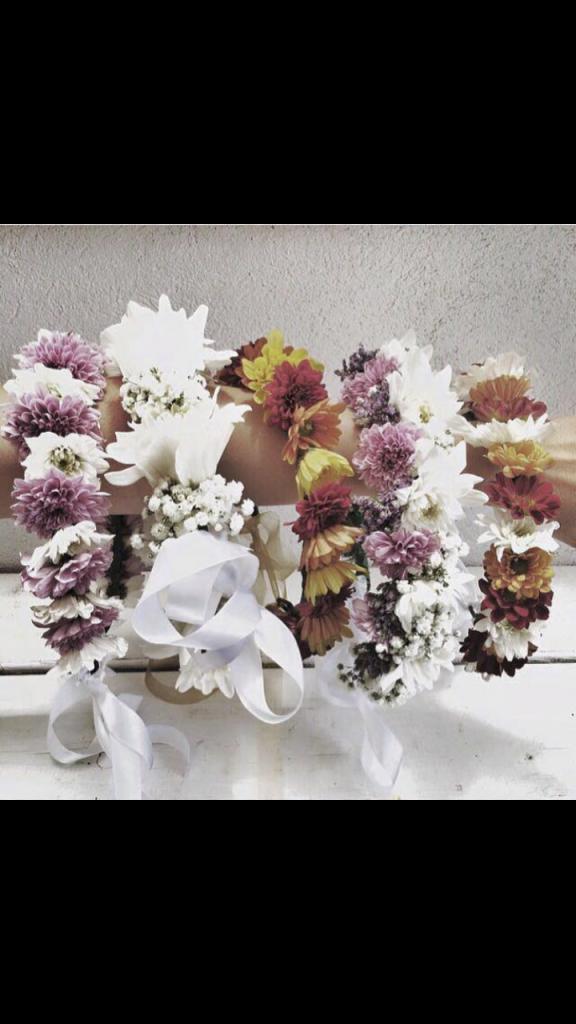 משק 25 פרחים משק 25 פרחים