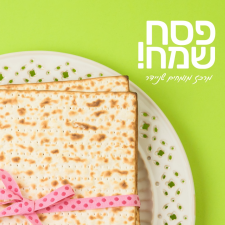 מרכז מומחים שניידר