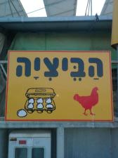 הביציה