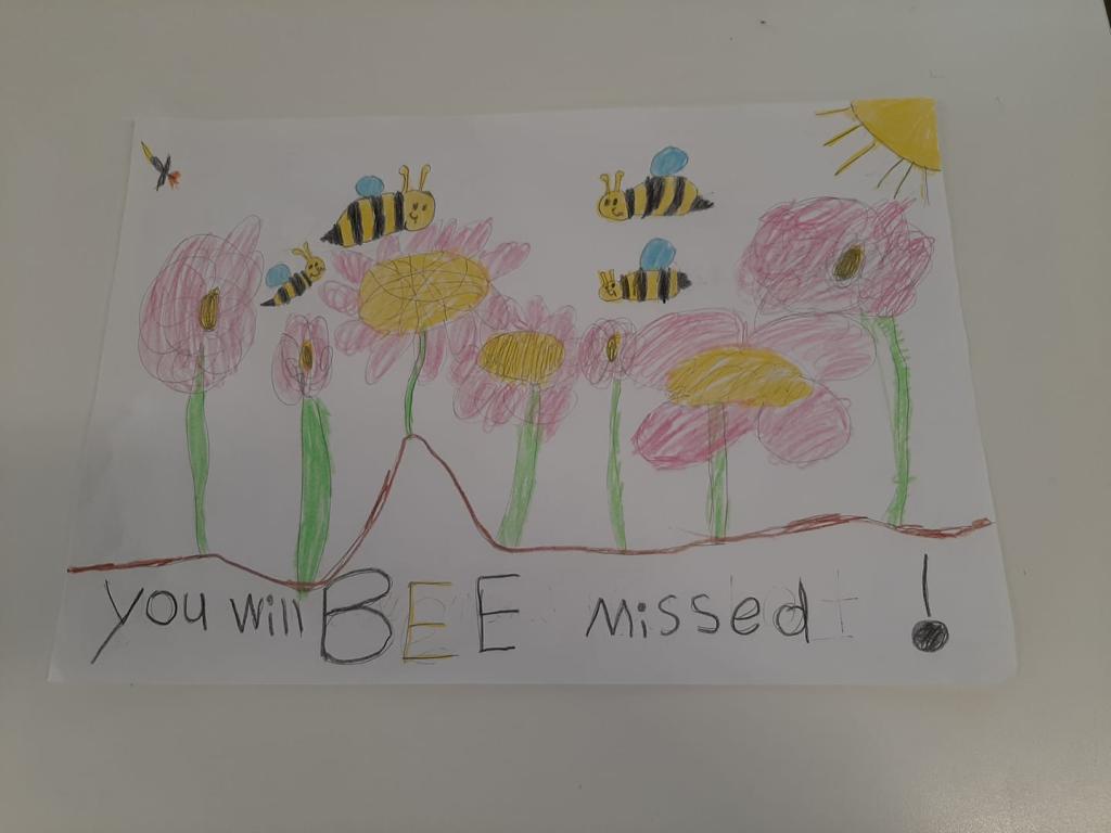 סטודיו כליקאסו סטודיו כליקאסו