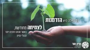טניה מור אימון אישי
