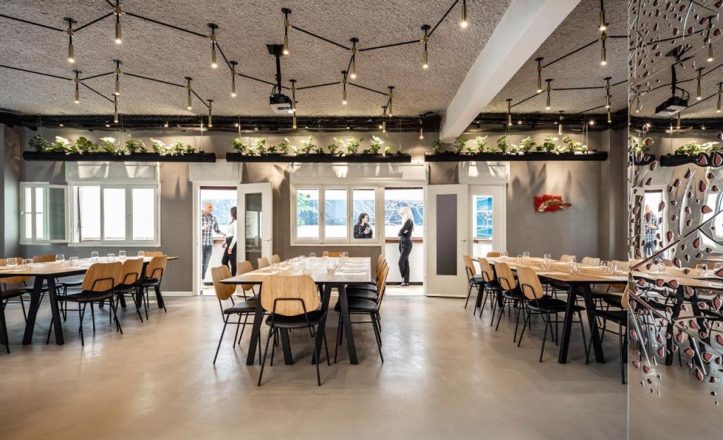 מייפל האוס מייפל האוס