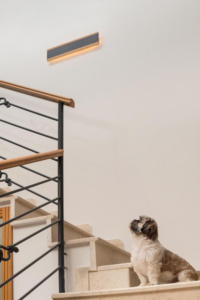 Cotton Heart Design Cotton Heart Design