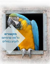 תיקשורים יחסי ציבור וקופירייטינג  מנוהל