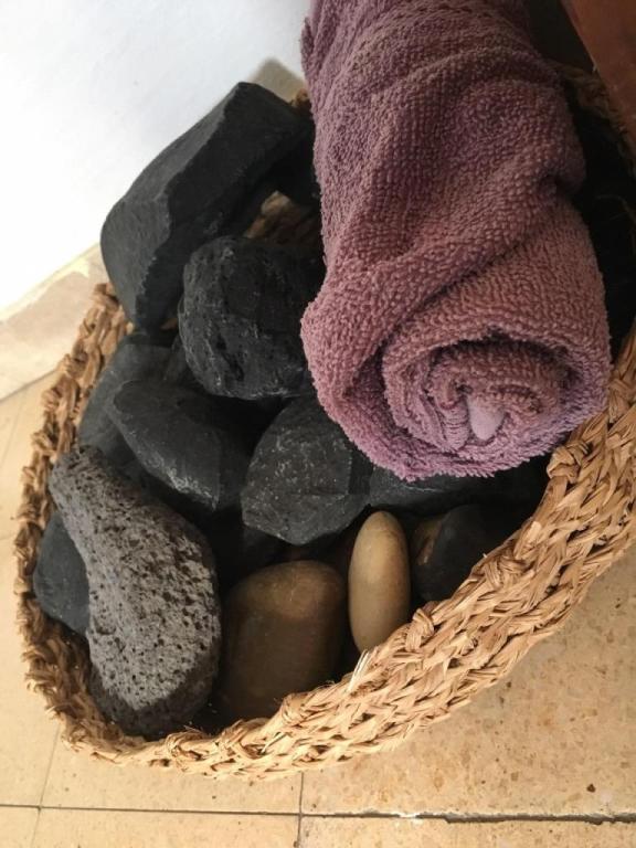 דנאור ישי דנאור ישי